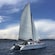 A catamaran sailing across the sea